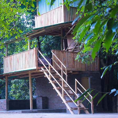 Forest Tree Top Holiday Resort Buttala Luaran gambar