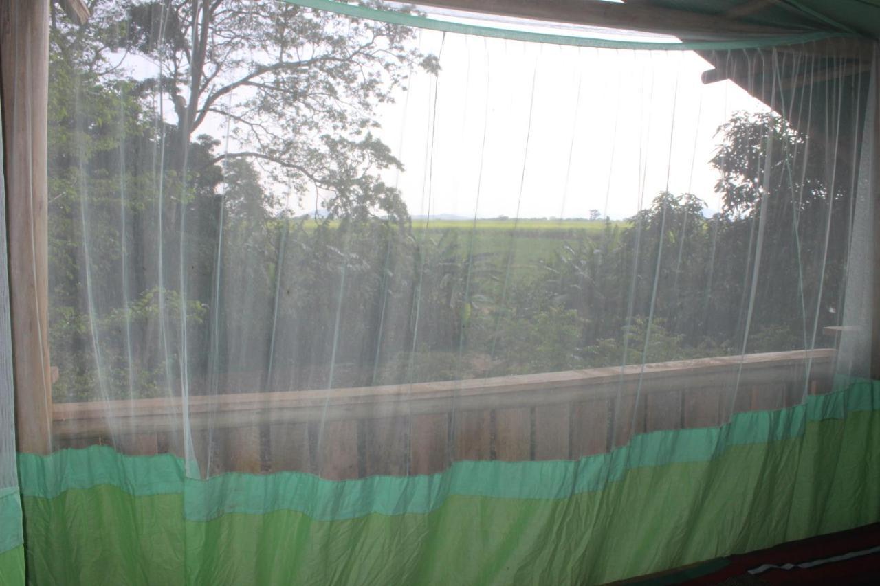 Forest Tree Top Holiday Resort Buttala Luaran gambar