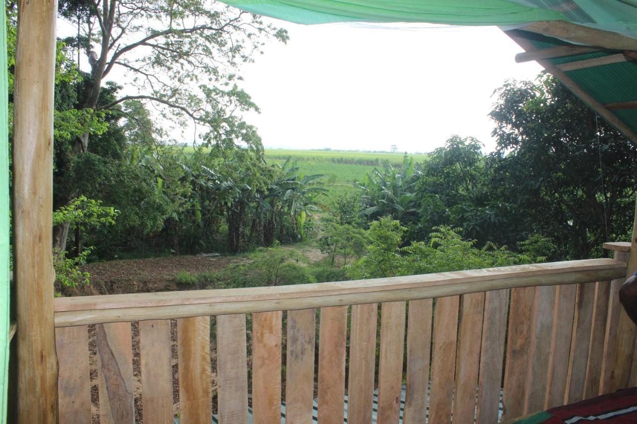 Forest Tree Top Holiday Resort Buttala Luaran gambar