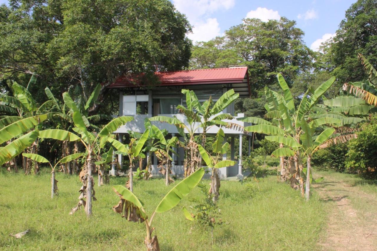 Forest Tree Top Holiday Resort Buttala Luaran gambar