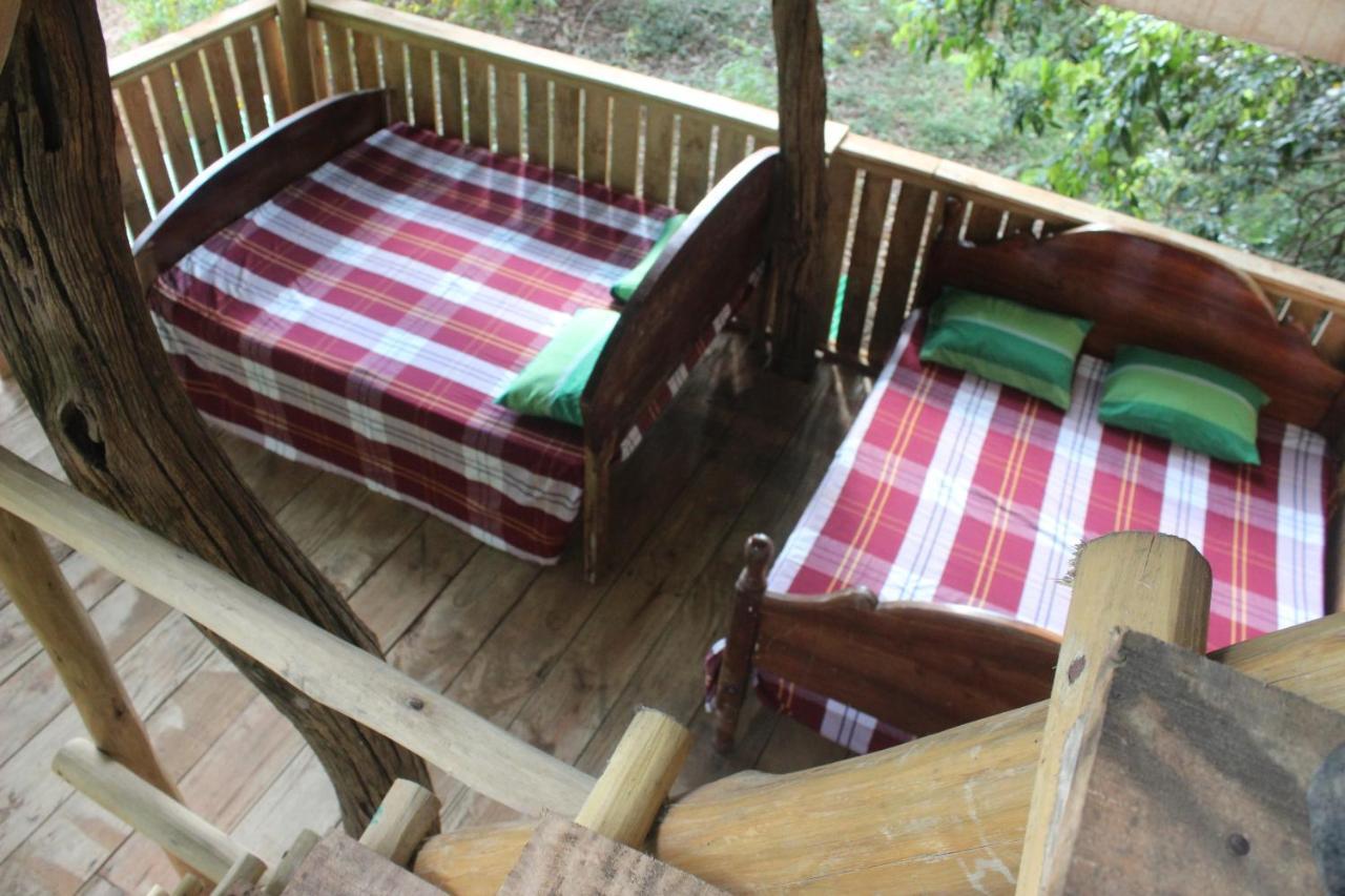 Forest Tree Top Holiday Resort Buttala Luaran gambar