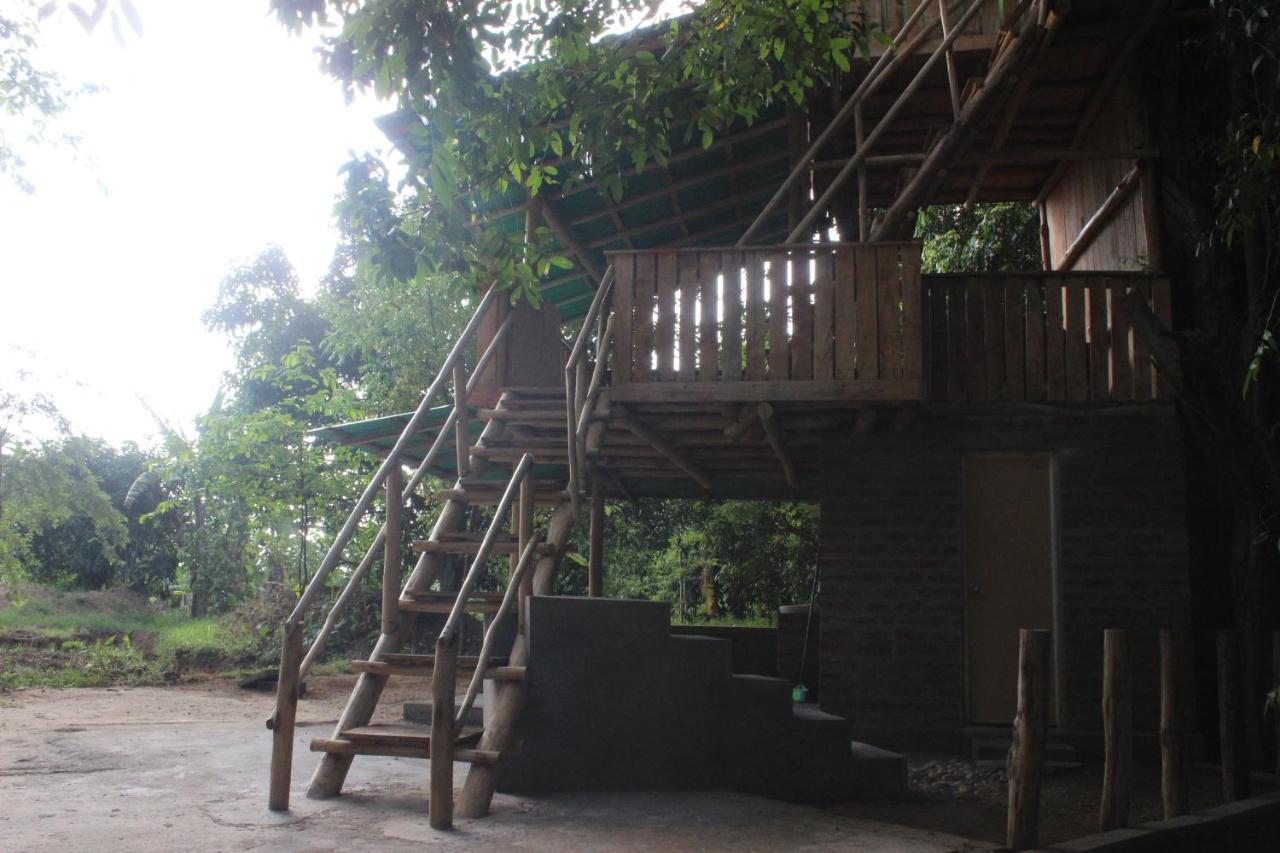 Forest Tree Top Holiday Resort Buttala Luaran gambar