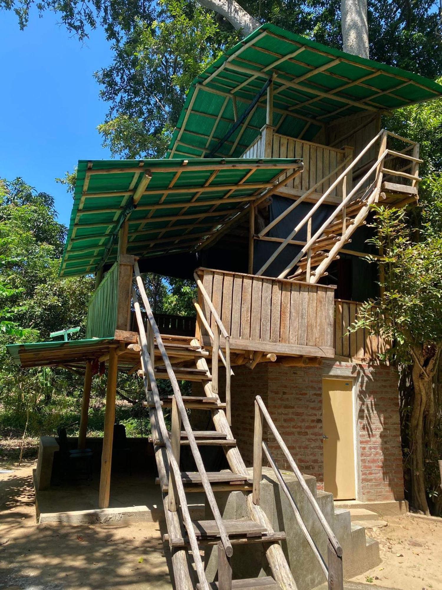 Forest Tree Top Holiday Resort Buttala Luaran gambar